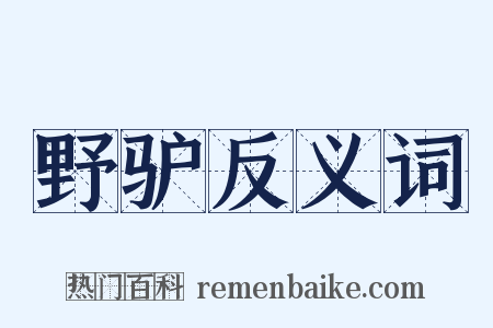 野驴反义词是什么意思的图片